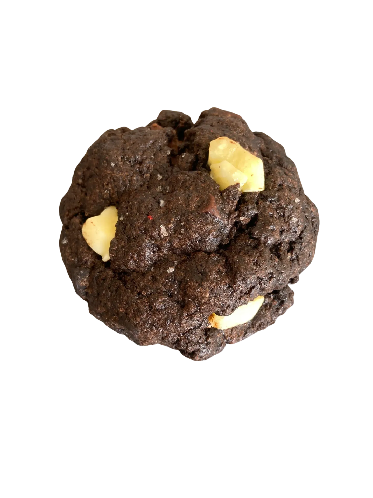 Double Choc Cookie