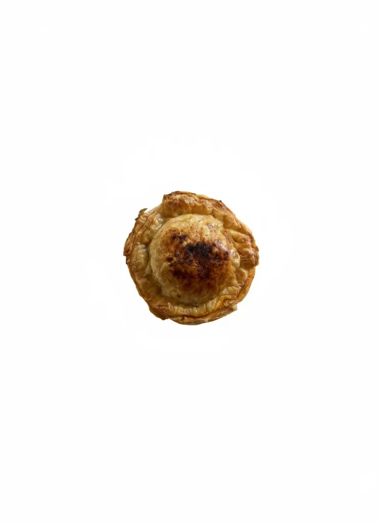 Chicken Curry Pie